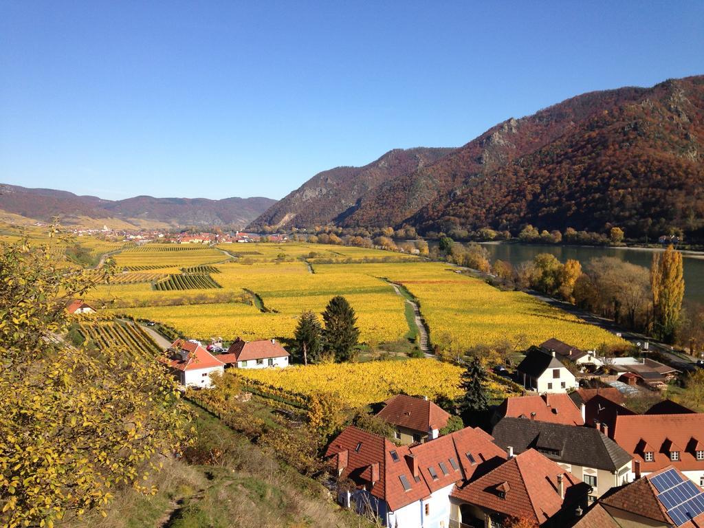 Apartement Schlaf Gut - Mitten In Der Wachau 레헨스테이너와차우 객실 사진
