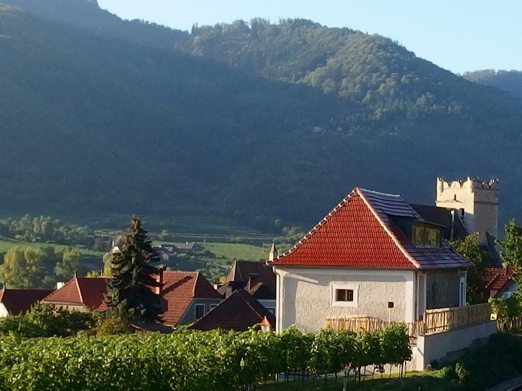Apartement Schlaf Gut - Mitten In Der Wachau 레헨스테이너와차우 외부 사진